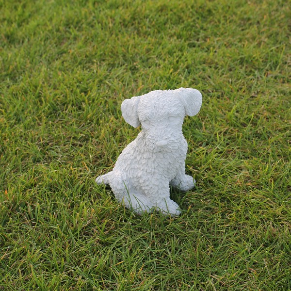 This little guy could either be called an Airedale or Fox Terrier puppy.  He is sitting and looking so sweetly up at you.