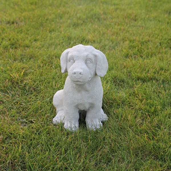 Little sitting lab puppy