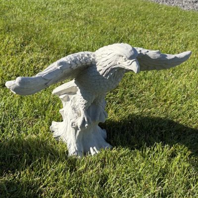 Small Eagle with Spread Wings