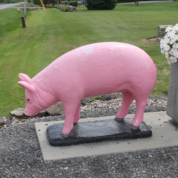 XLarge Standing Pig Concrete Garden Supply