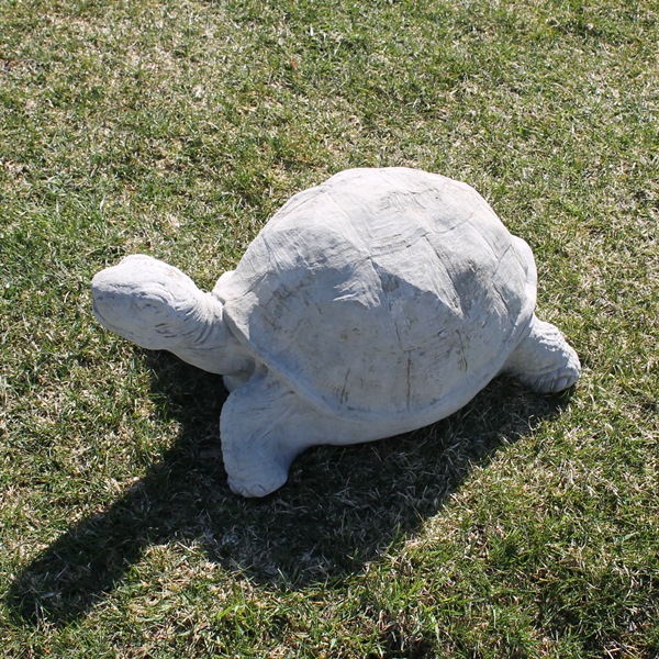 Turtle / Tortoise | Concrete Garden Supply