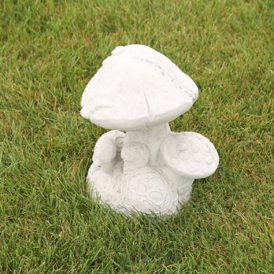 Baby Mushroom