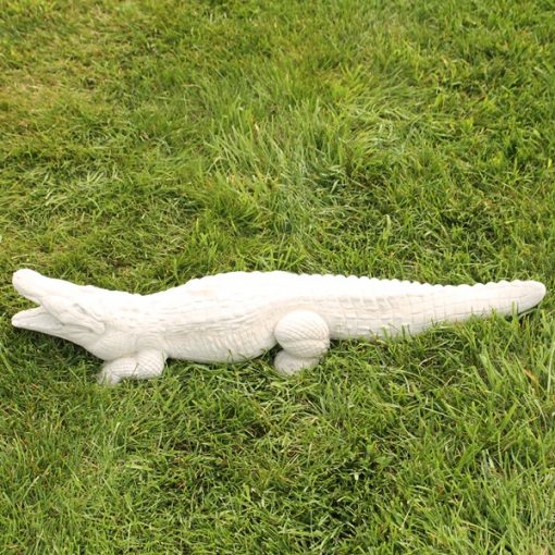 Alligator / Crocodile