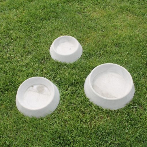 Dog Bowl