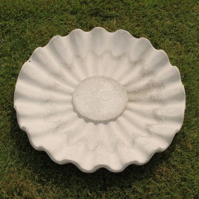 Large Clam Shell Top