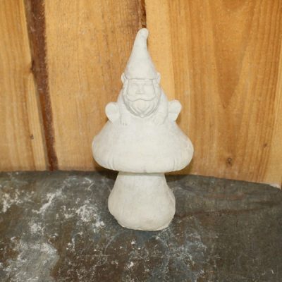 Gnome on a Mushroom