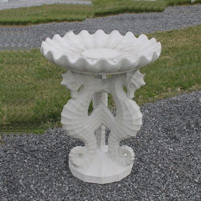 Large Seahorse Clamshell Set