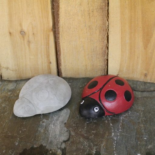 Large Lady Bug