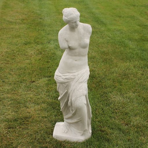 Venus Standing