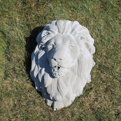 Lion Head