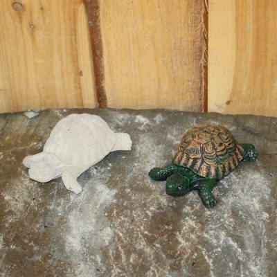 Mini Turtle / Tortoise