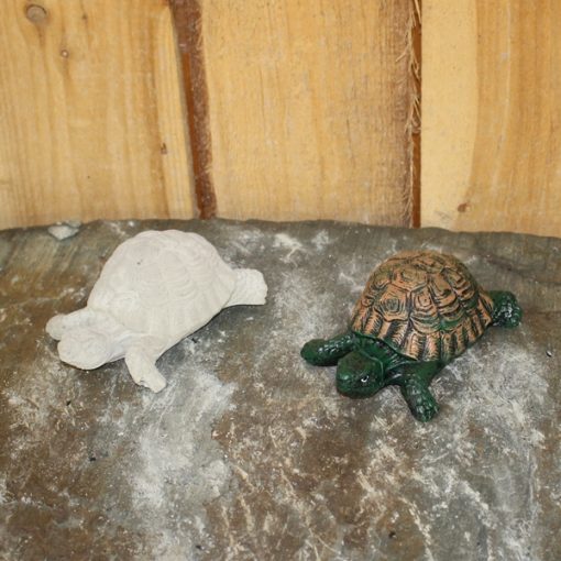 Mini Turtle / Tortoise