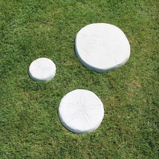 Large 17" Sand Dollar