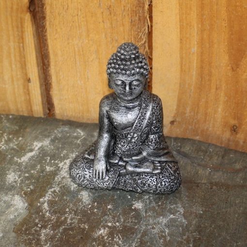 Small Fancy Thai Buddha