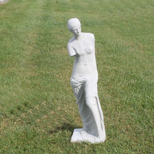 Venus Standing