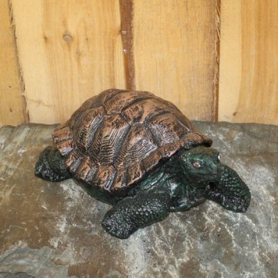 Medium Turtle / Tortoise