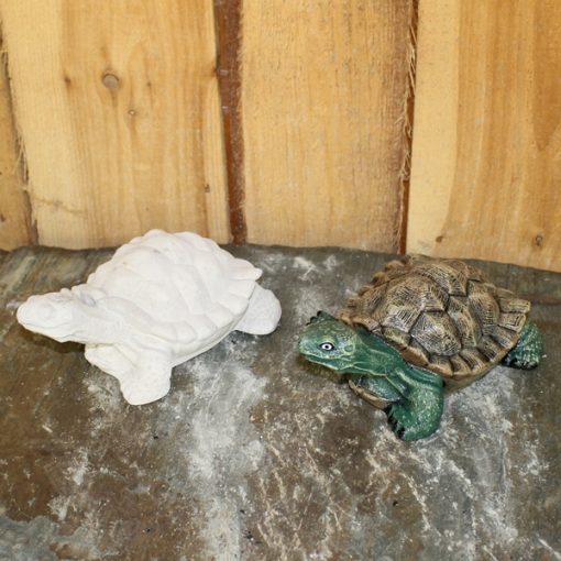 Small Turtle / Tortoise