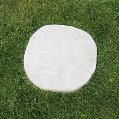 X-Large Irregular 18″ Sand Dollar