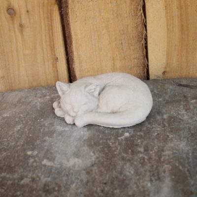 Small Curled Cat Kitten N Concrete Garden Supply