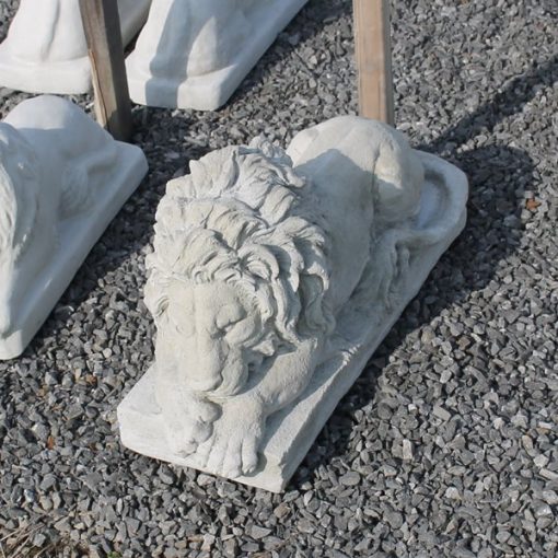 Shy Lion N Concrete Garden Supply