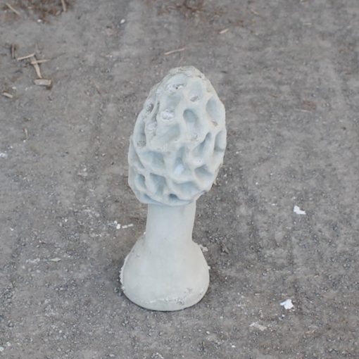 Morel Mushroom N Concrete Garden Supply