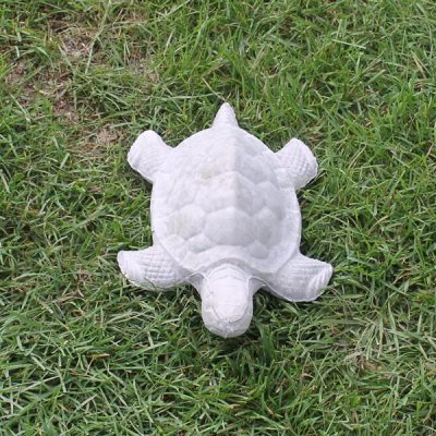 Small Sea Turtle