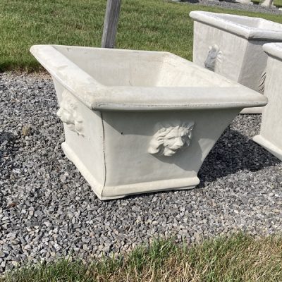 Lion Planter – Big Brimmed