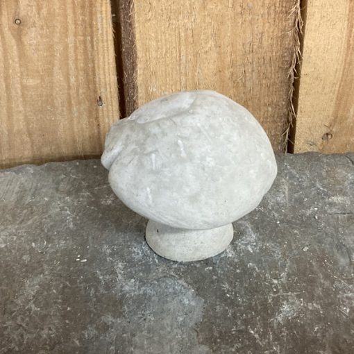 Mini Natural Mushroom N Concrete Garden Supply