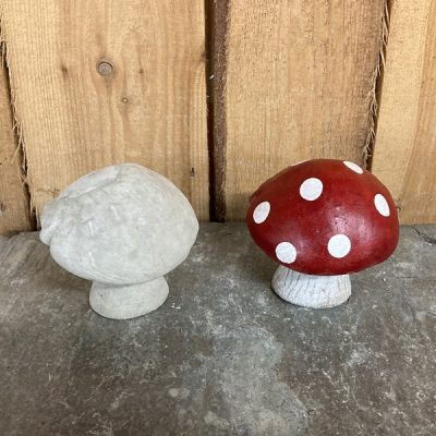 Mini Natural Mushroom
