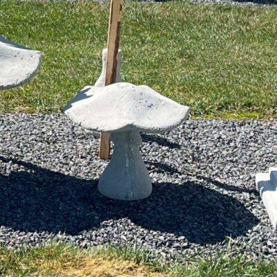 Small 2Piece Mushroom