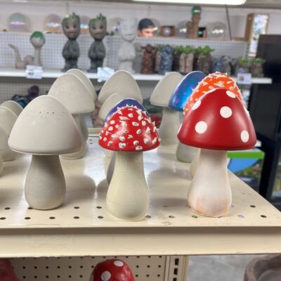 B’s Mushrooms