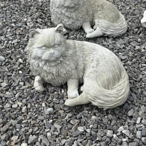 Fluffy Cat N Concrete Garden Supply