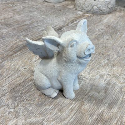 Flying Pig