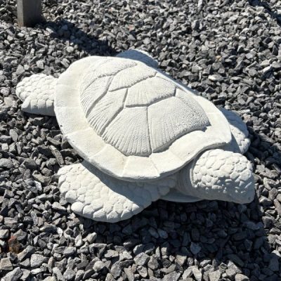 Sea Turtle