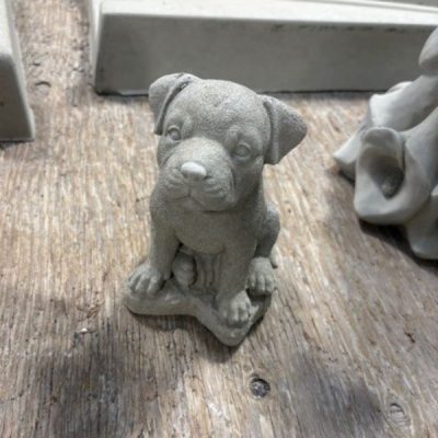 Mini Rotti / Bulldog