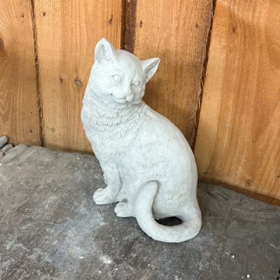 Sitting Short Hair Cat – Tail Curled