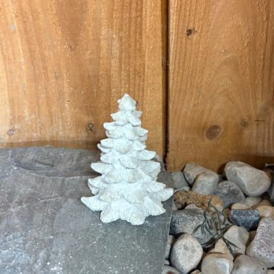 Fir Tree Small N Concrete Garden Supply