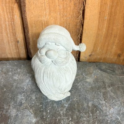 Big Santa Face