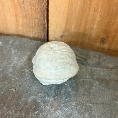 Walnut Little N Concrete Garden Supply