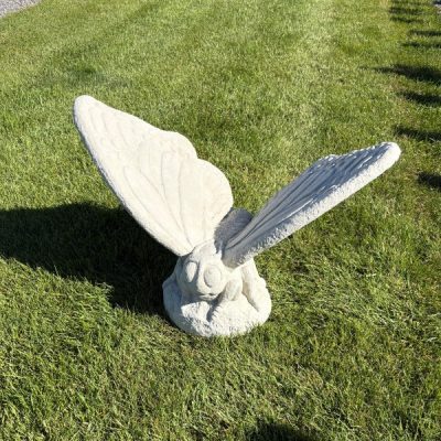 XL Butterfly